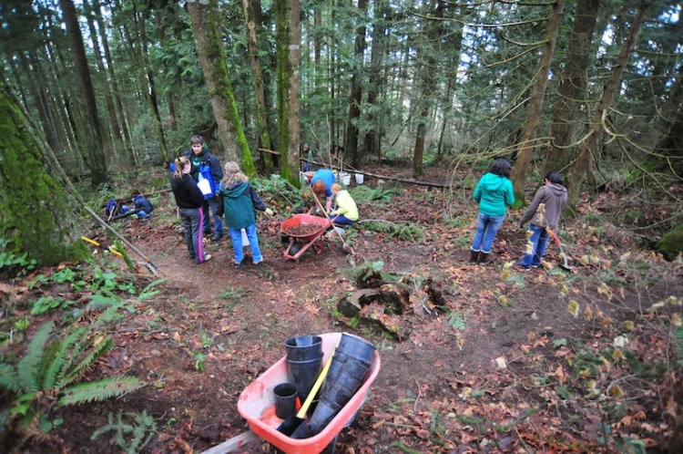 Burlington-Edison and Mount Vernon High School plant trees.