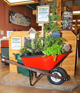 wheelbarrow_at_the_co-op