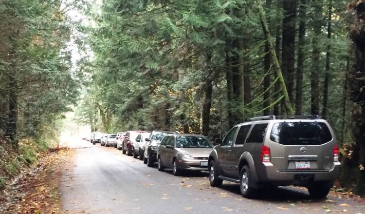 audubon society hiking event at little mountain park in mount vernon, wa