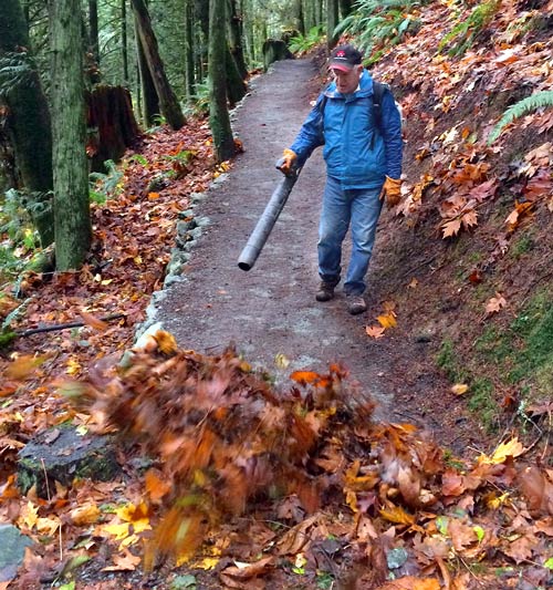 clearing off the leaves of the trail