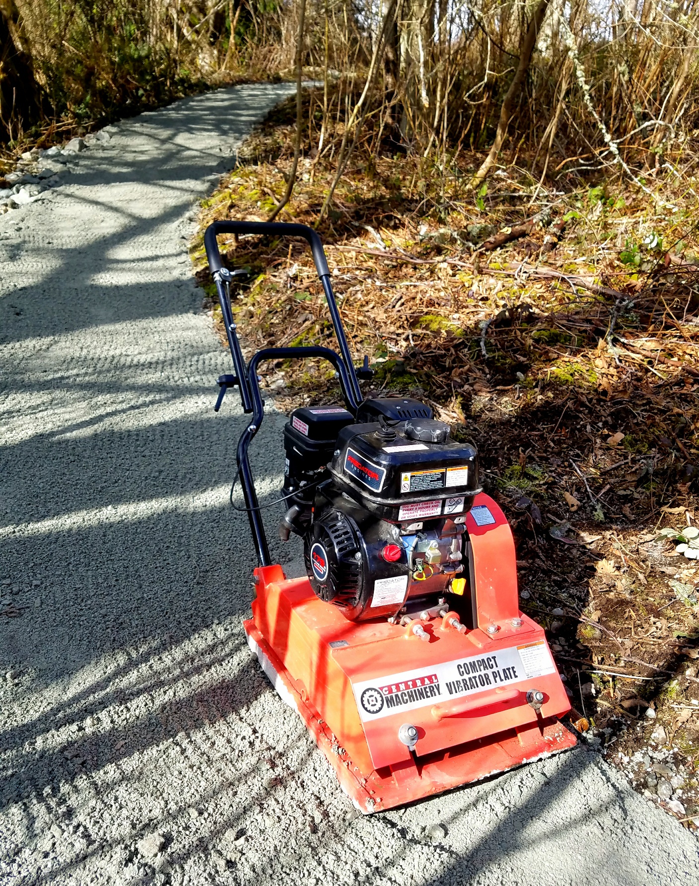 20210227_231530_resized