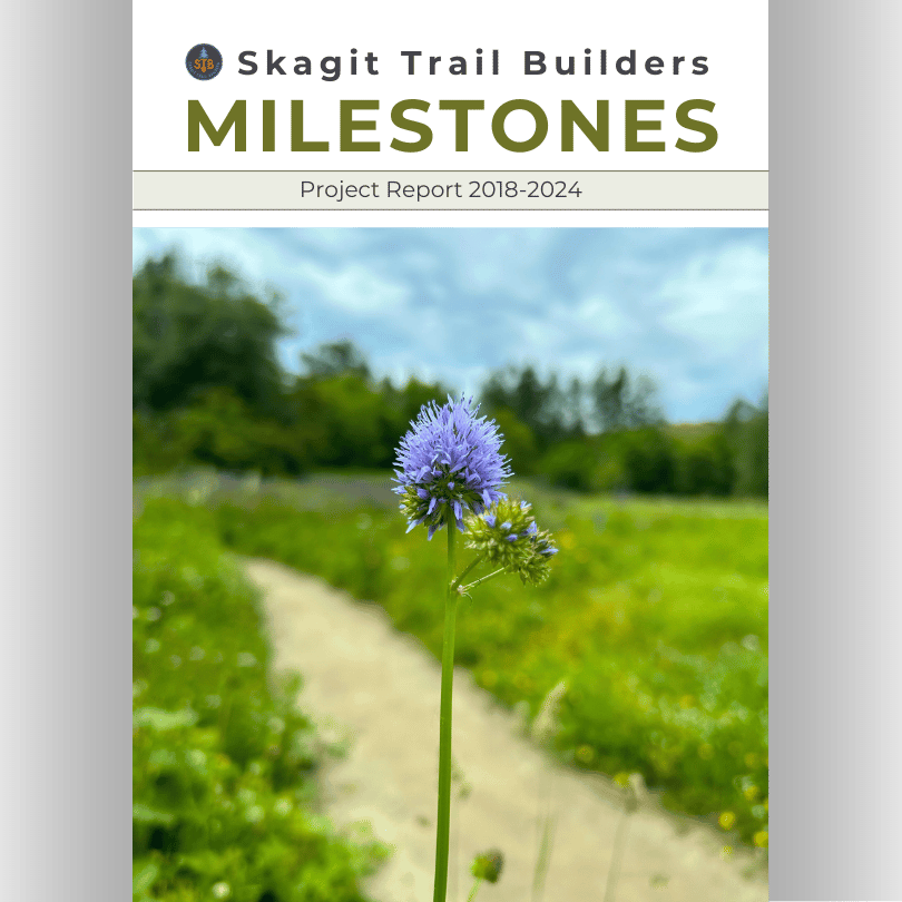 Milestones: Project Report 2018-2024